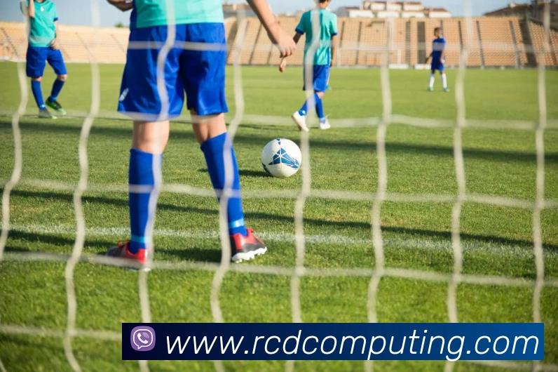 奖项证书